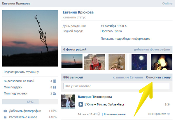 Плагин «Очистить Стену Вконтакте»