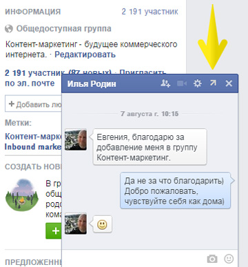 Вот так выглядит стандартный чат