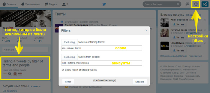 Настройки плагина Open Tweet Filter