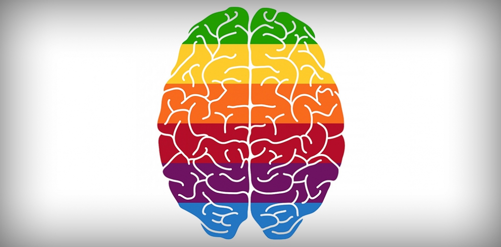 Цветовая психология: полный гид для маркетологов — CMS Magazine