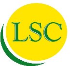 «LSC Лингва Сервис Центр»